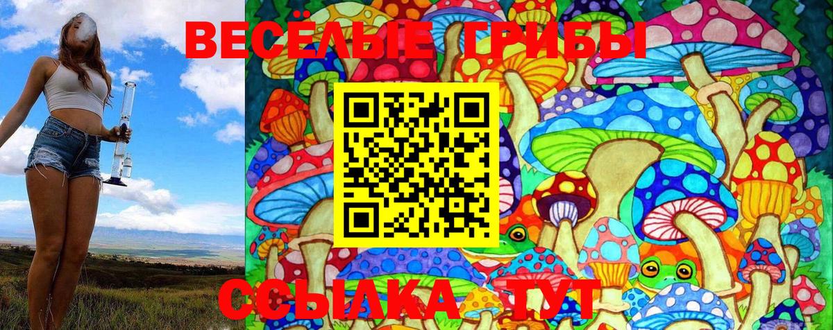 Псилоцибиновые грибы Psilocybe Каменск-Уральский