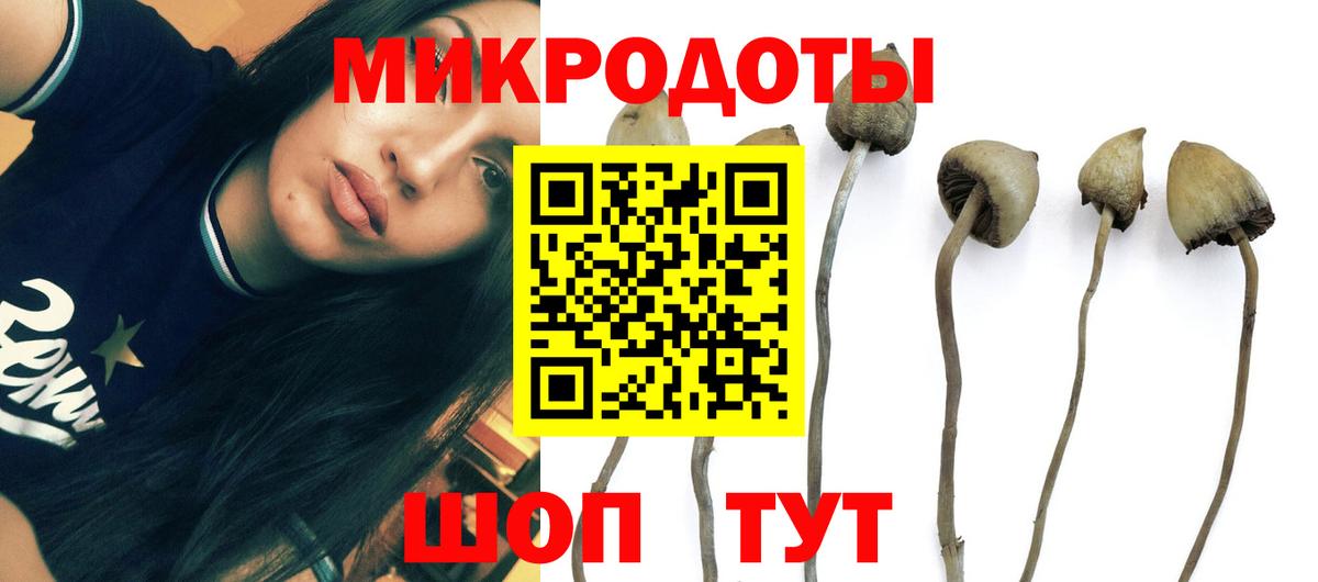купить  сайты  Галлюциногенные грибы Psilocybine cubensis  Вход с VPN  Каменск-Уральский 